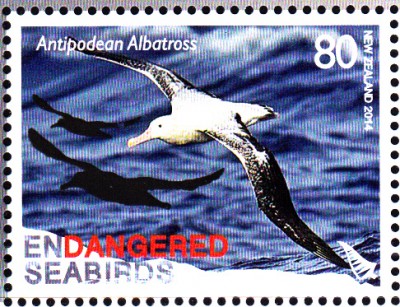 Vögel_0002.jpg