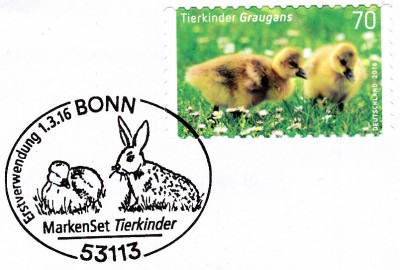Tierk_0017.jpg