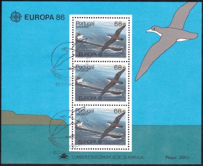 E1986_0018.jpg