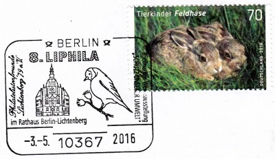 Vögel_0012.jpg