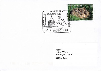 Vögel.jpg