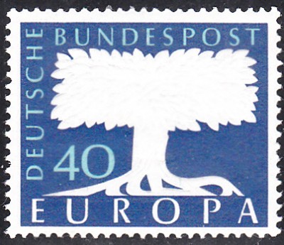 Bäume_0028.jpg (127.05 KiB) 13073-mal betrachtet Bäume_0028.jpg