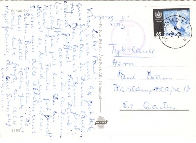 IMG5_0002.jpg
