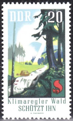 Bäume_0021.jpg