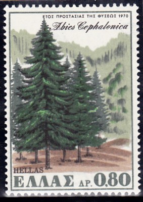 Bäume_0056.jpg