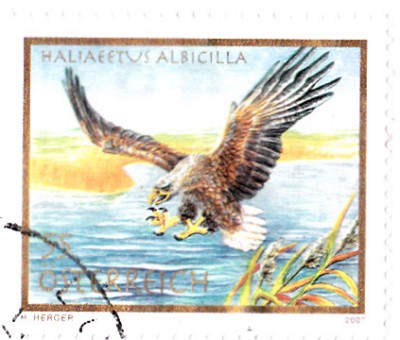 Vögel_0013.jpg