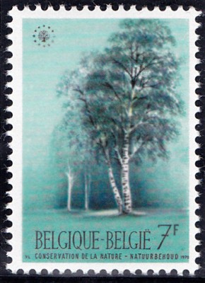 Bäume_0061.jpg