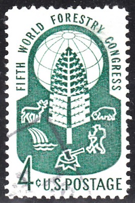 Bäume_0068.jpg