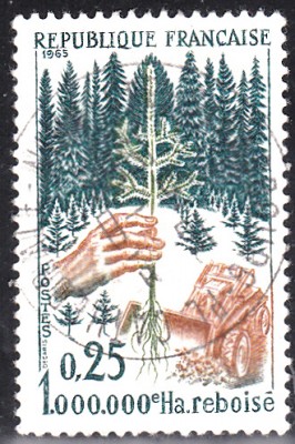 Bäume_0069.jpg
