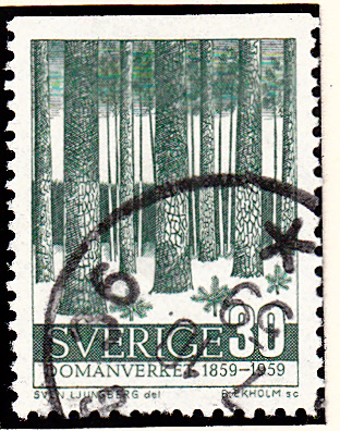 Bäume_0071.jpg