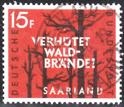 Bäume_0024.jpg