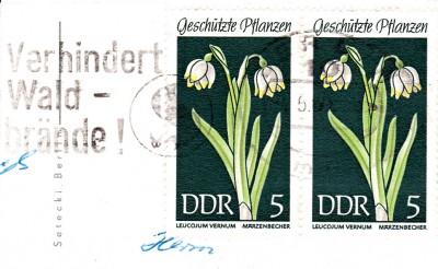 Bäume_0073.jpg