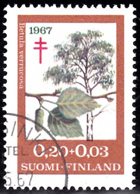Bäume_0086.jpg