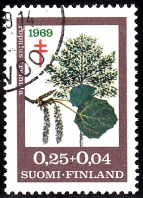 Bäume_0090.jpg