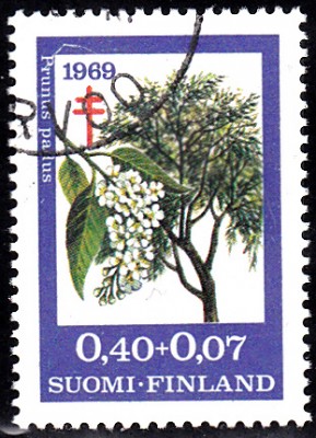 Bäume_0091.jpg