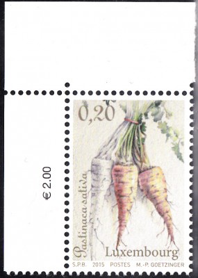 Gemüse_0004.jpg