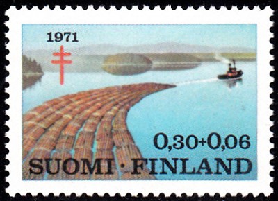 Bäume_0094.jpg