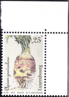 Gemüse_0003.jpg