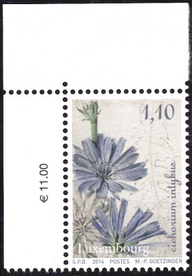 Gemüse_0007.jpg