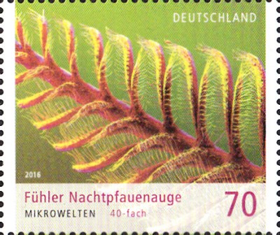 Tiere_0028.jpg