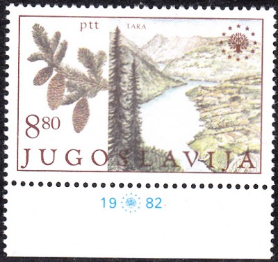 Bäume_0109.jpg