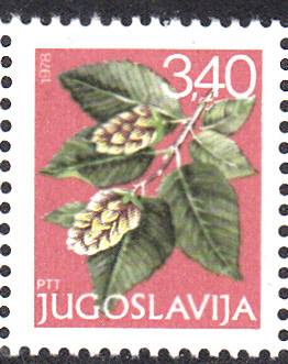Bäume_0113.jpg