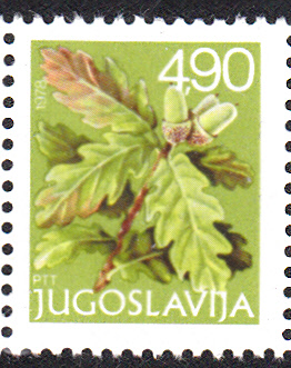 Bäume_0114.jpg