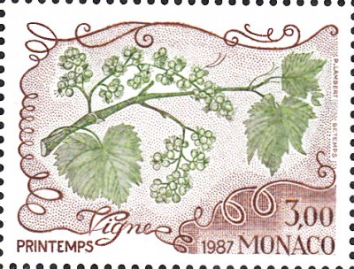 Wein_0067.jpg