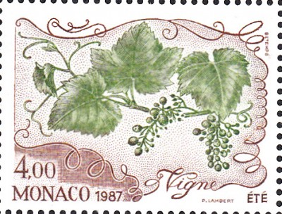 Wein_0068.jpg