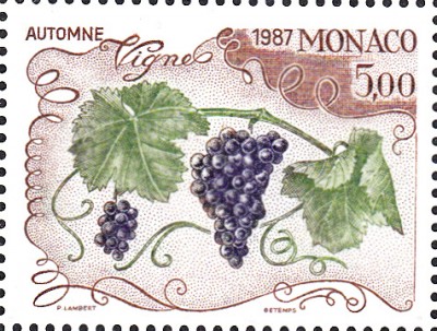 Wein_0069.jpg