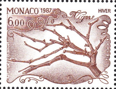 Wein_0070.jpg
