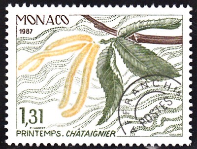 Bäume_0125.jpg