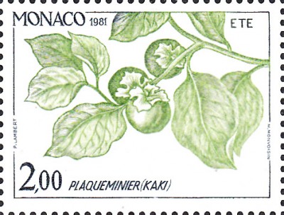 Bäume_0134.jpg