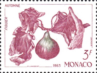 Bäume_0153.jpg