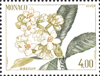 Bäume_0172.jpg