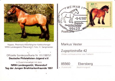Pferde_0002.jpg