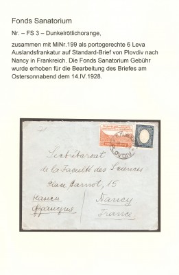 FSK1sFS3 - 2 Brief.jpg