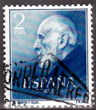 1906Cajal.jpg