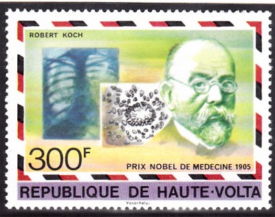 1905 Koch_0004.jpg