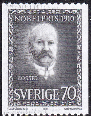 1910Kossel.jpg