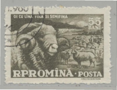 Rumänien Widder 1959.jpg (68.15 KiB) 2079-mal betrachtet Rumänien Widder 1959.jpg