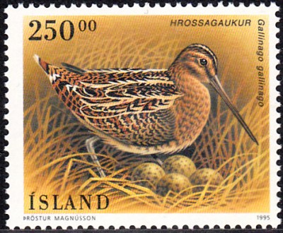 Vögel_0009.jpg