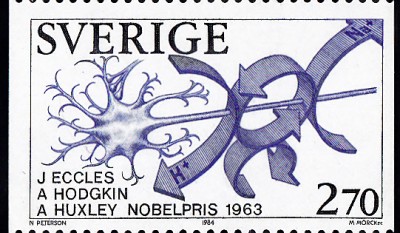 1963Eccles Hodgkin Huxley.jpg