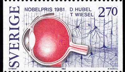 1981Hubel Wiesel.jpg