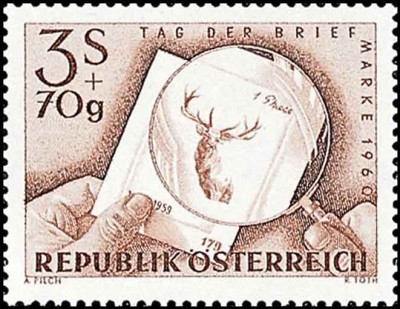 RedakII_601202a_1.jpg