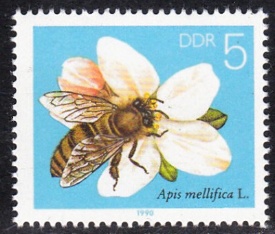20161110_0016.jpg