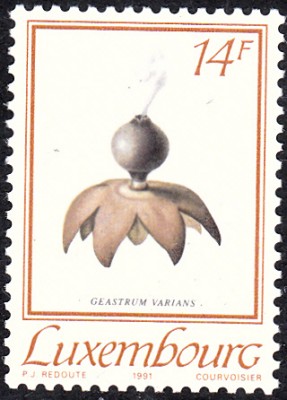 20161114_0018.jpg