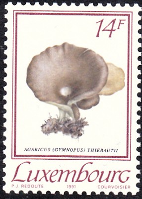 20161114_0019.jpg