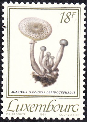 20161114_0020.jpg