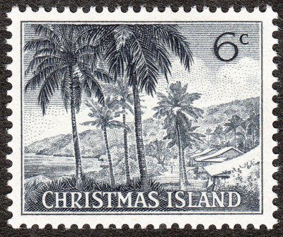 IMG5.jpg